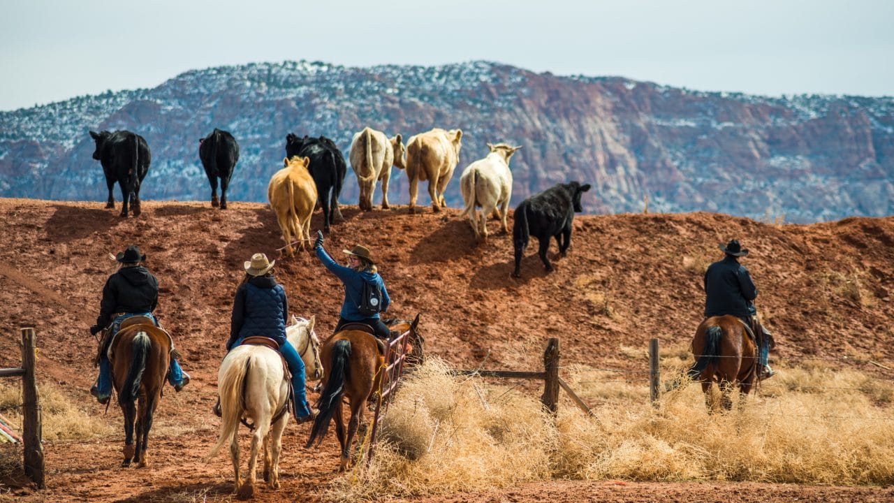 Support Farmers and Ranchers - ACC Action